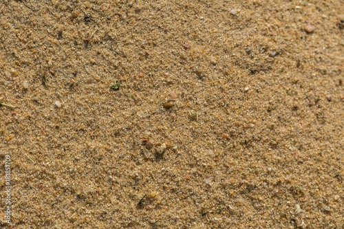 Background of sand grains in big xlose up photo