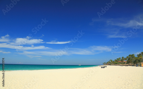 Fototapeta Naklejka Na Ścianę i Meble -  White sand beach and turquoise water  ocean on green palm trees and blue sky background. Aruba. September, 2017. Amazing backgrounds.