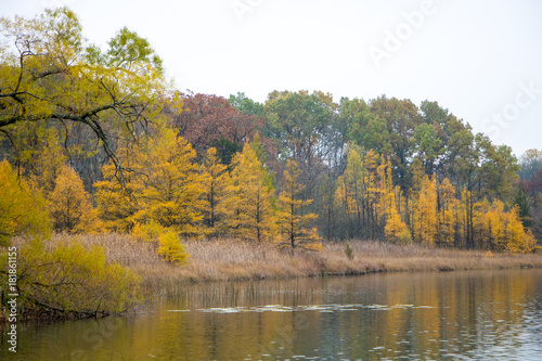 Fall Colors over a Lake