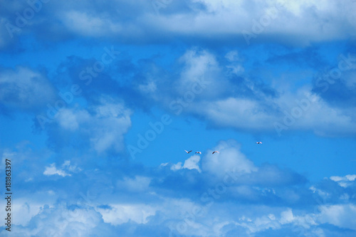 Blue Cloudy Sky / Clouds 