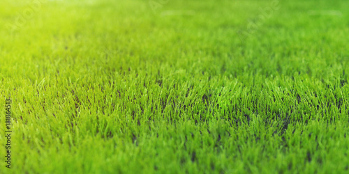 artificial green grass on football or soccer field at sunrise.