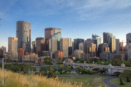 Calgary skyline on a summer evening