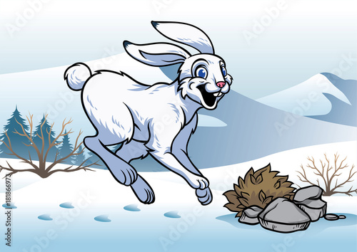 arctic hare in winter