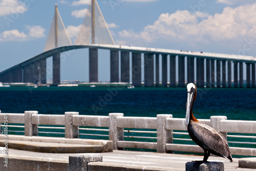 Sunshine Skyway Bridge