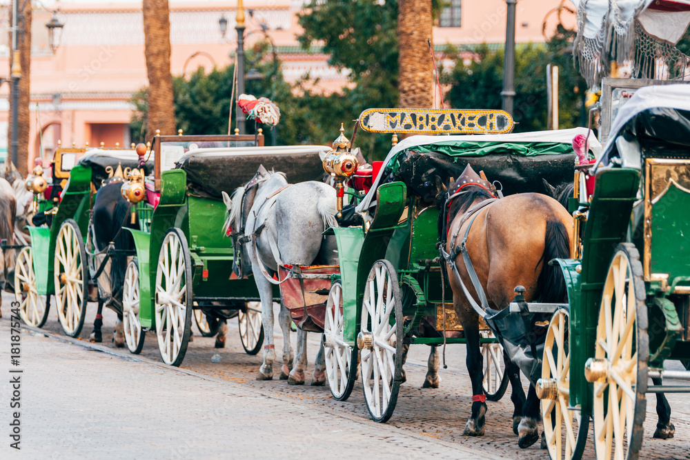 horse carriages at djemaa el fna square, morocco - obrazy, fototapety, plakaty 