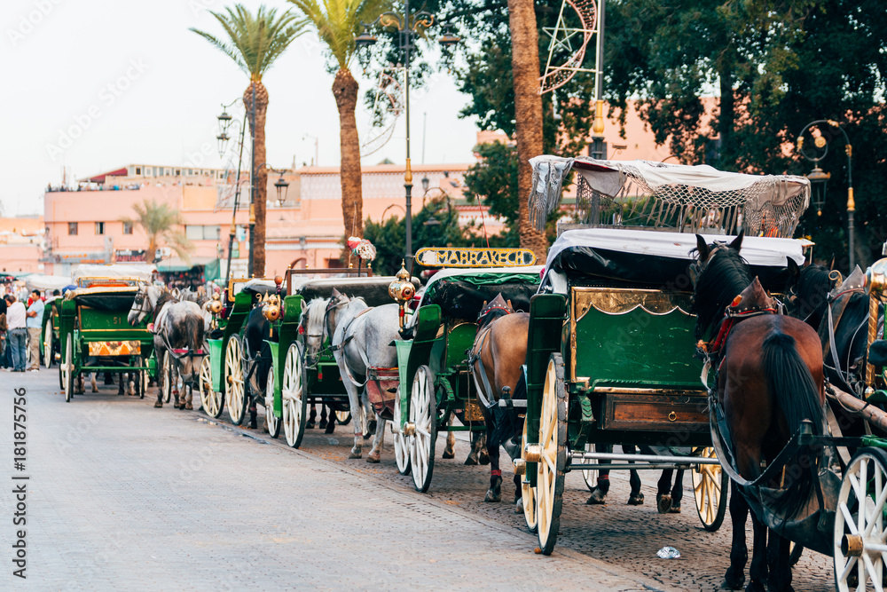 horse carriages at djemaa el fna square, morocco