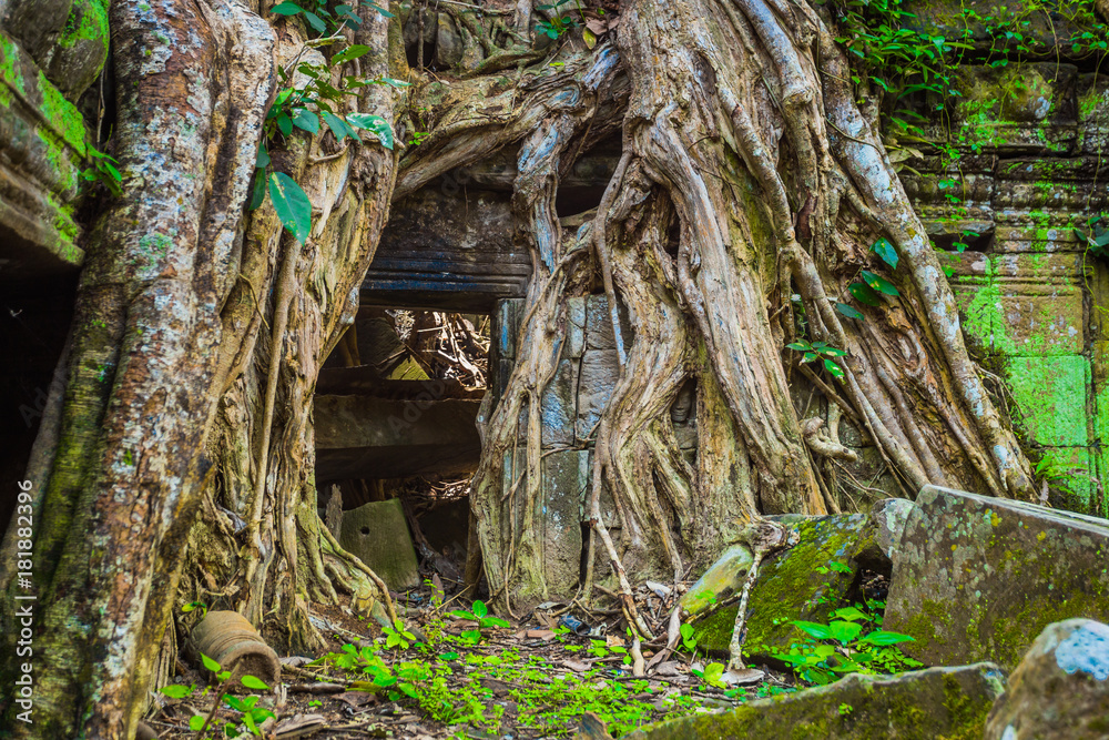 Cambodia ancient castle