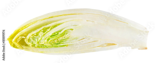 Belgian endive or witloof cut in half inside longitudinal section isolated on white background photo