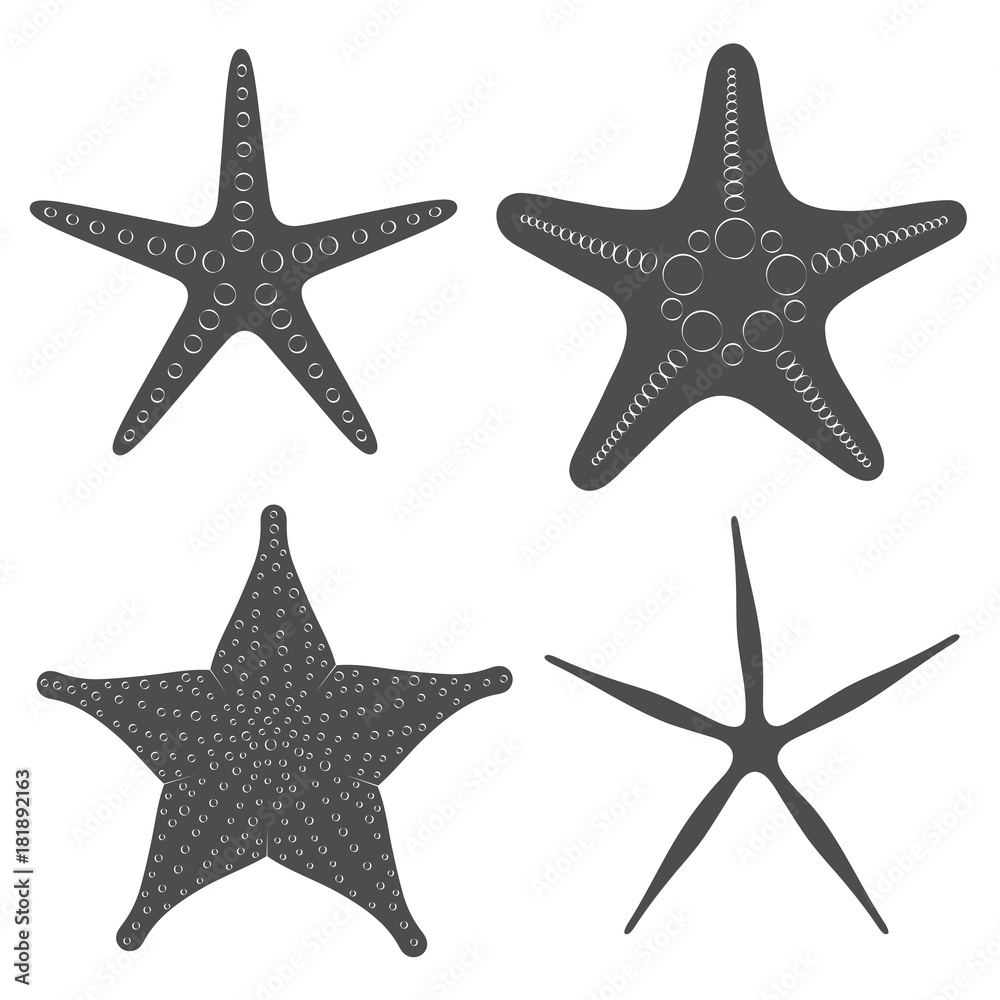 Set of graphic black and white images of sea stars. Isolated vector objects on white background.