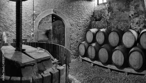 Bild auf Leinwand Barrels of wine in a wine cella
