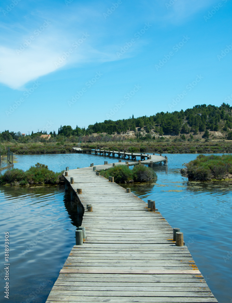 Boardwalk over calm lagoon in wild setting