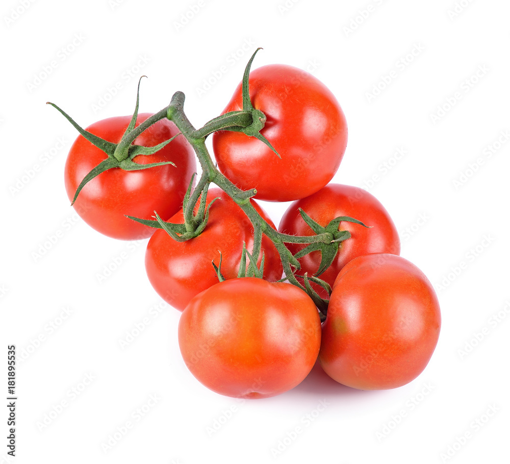 Fresh branch of tomatoes on white background Fresh branch of tomatoes on white background