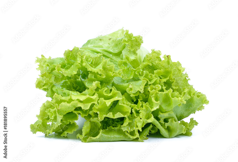 Salad leaf. Lettuce isolated on white background Salad leaf. Lettuce isolated on white background