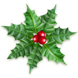 Christmas holly berry ornament on white background