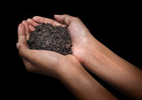 hands holding black soil