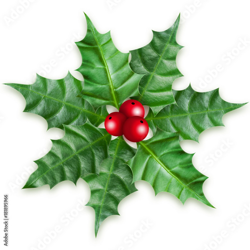 Christmas holly berry ornament on white background