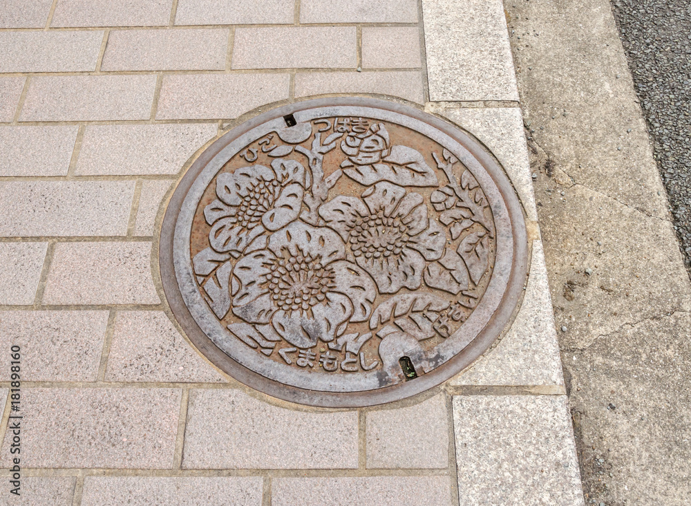 The art over the drain cap on street in Fukuoka Prefecture
