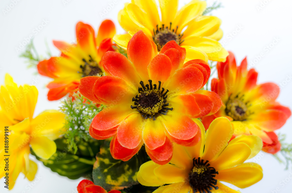 beautiful artificial flowers on white background