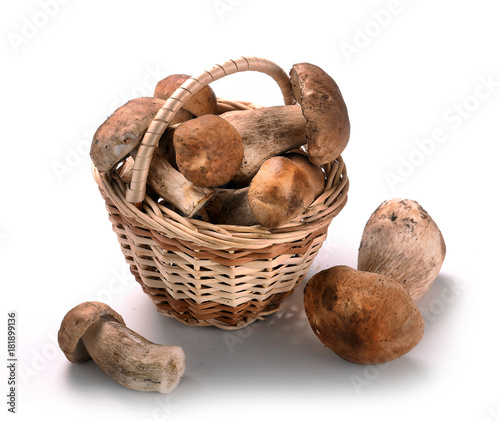 Autumn Cep Mushrooms in a wicker basket