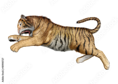 Fototapeta Naklejka Na Ścianę i Meble -  3D Rendering Big Cat Tiger on White