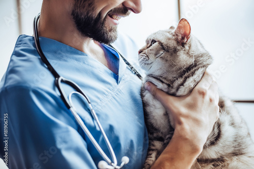 Doctor veterinarian at clinic photo