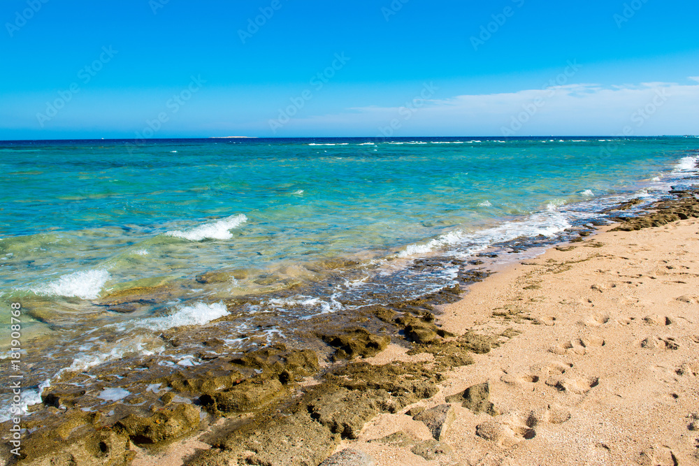 Landscape of sandy beach in Egypt Landscape of sandy beach in Egypt