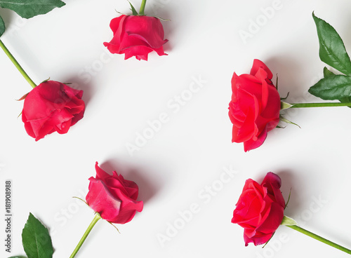 Red roses on the white background  top view.