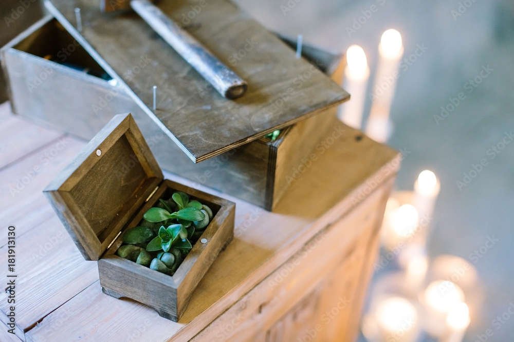 Fototapeta premium planting, growing, handcrafting concept. on the dark wooden box without any pattern there is small green plant, it is placed by box with hammer