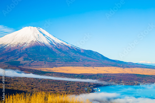 The Mt.Fuji.The foreground is pampas grass.Shot in the early morning.The shooting location is Lake Yamanakako, Yamanashi prefecture Japan.