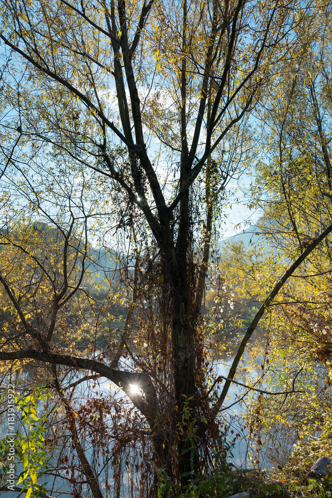 Autumn at Serio river, Lombardy, Italy.