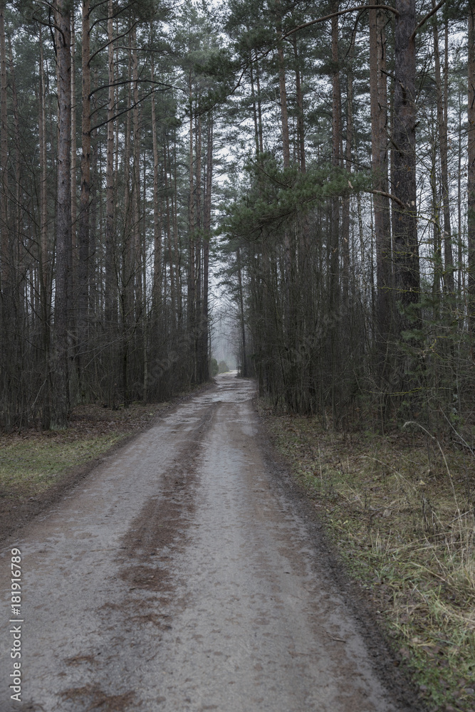 grayness, loneliness, depression, travel, europe, latvia, frost, path, day, rural, beautiful, way, fog, background, asphalt, morning, winter, autumn, weather, scene, cold, outdoor, season, country, wh grayness, loneliness, depression, travel, europe, latvia, frost, path, day, rural, beautiful, way, fog, background, asphalt, morning, winter, autumn, weather, scene, cold, outdoor, season, country, wh