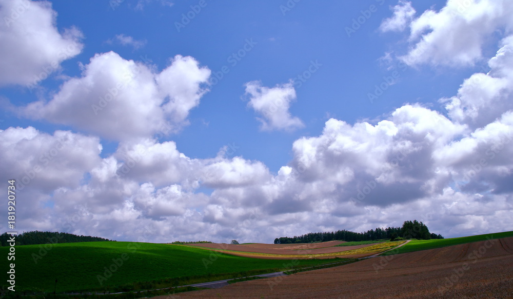 Scenery of Biei Hokkaido Scenery of Biei Hokkaido