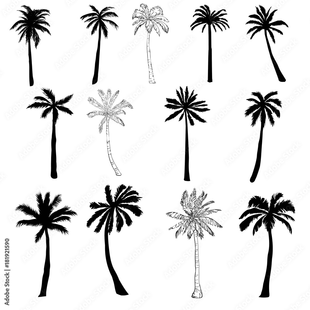 Fototapeta premium Vector palm tree silhouette icons on white background.