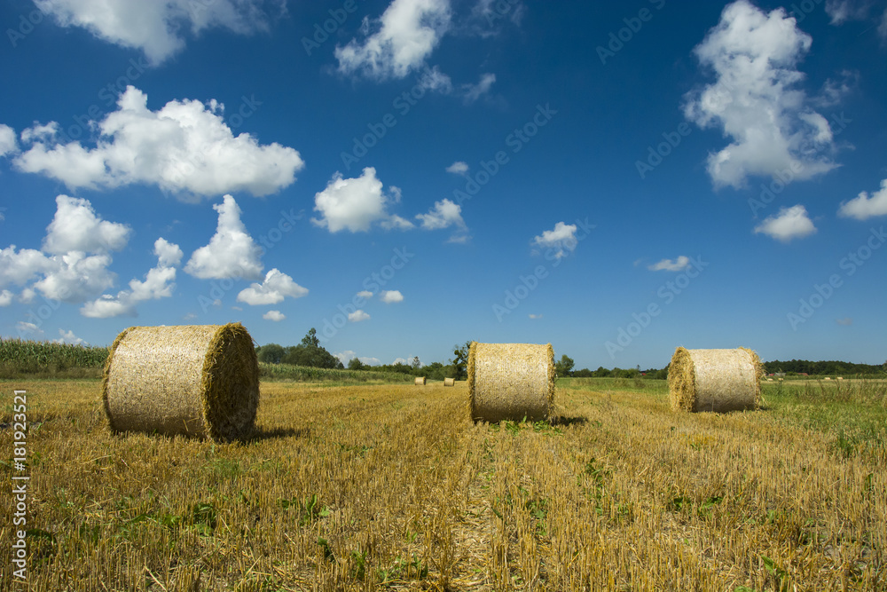 Three coils of hay in a field