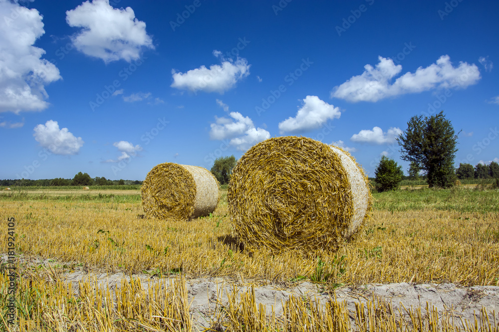 A haystack in a field