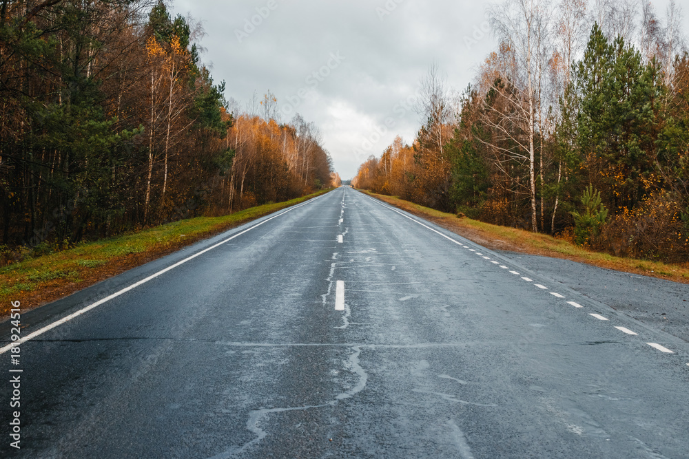 road, highway in autumn forest, larch, pine, landscape, day