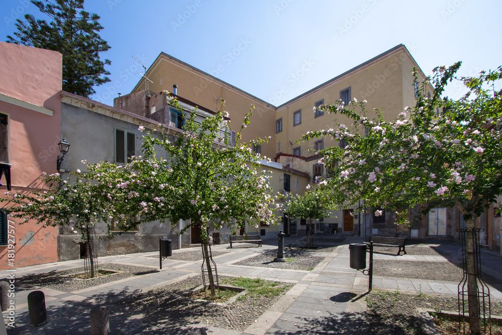 Yard with trees and pink house, Sassari, Italy. Yard with trees and pink house, Sassari, Italy.