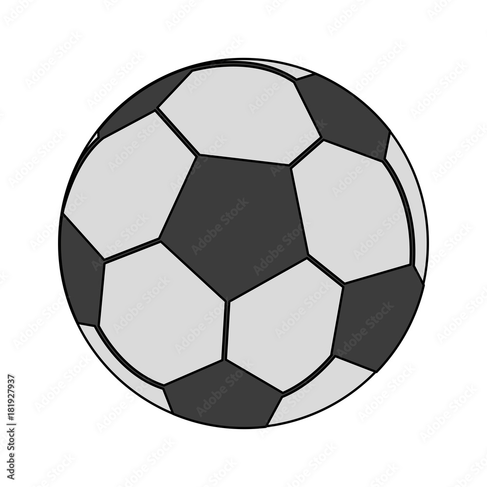 Fototapeta premium Soccer ball sport