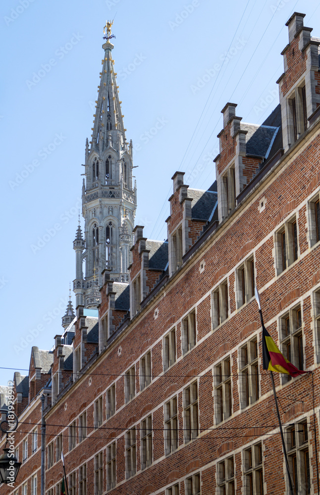 Obraz premium Old House and Brussels Town Hall on the background, Belgium