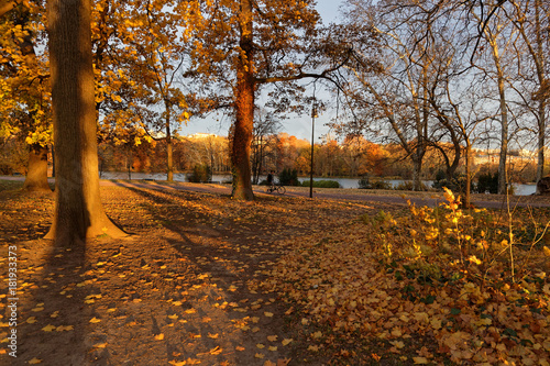 Ombres et lumières du matin sur les couleurs d'Automne du parc