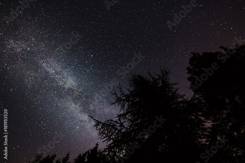 breathtaking night sky landscape with milky way popping out brightly on the trees silhouette, Provence, south France