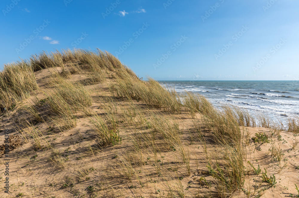 Dune de sable sur la côte d'Olonne-sur-Mer (Vendée, France)