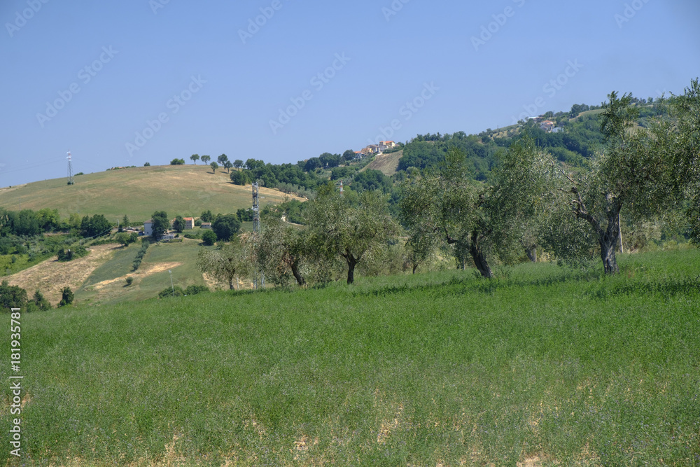 Landscape near Ascoli Piceno at summer