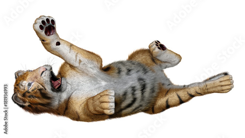 Fototapeta Naklejka Na Ścianę i Meble -  3D Rendering Big Cat Tiger on White