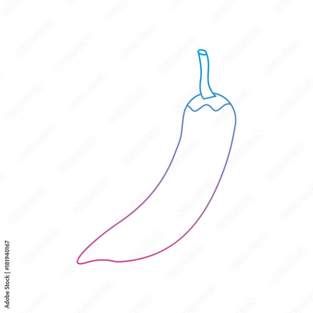 chili pepper vegetable icon image vector illustration design blue purple ombre line chili pepper vegetable icon image vector illustration design blue purple ombre line