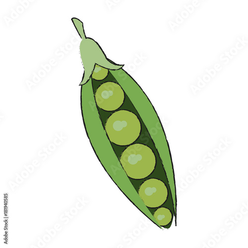 Fresh peas vegetable
