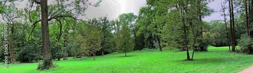 Englischer Garten