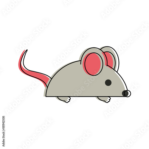Joke mouse toy