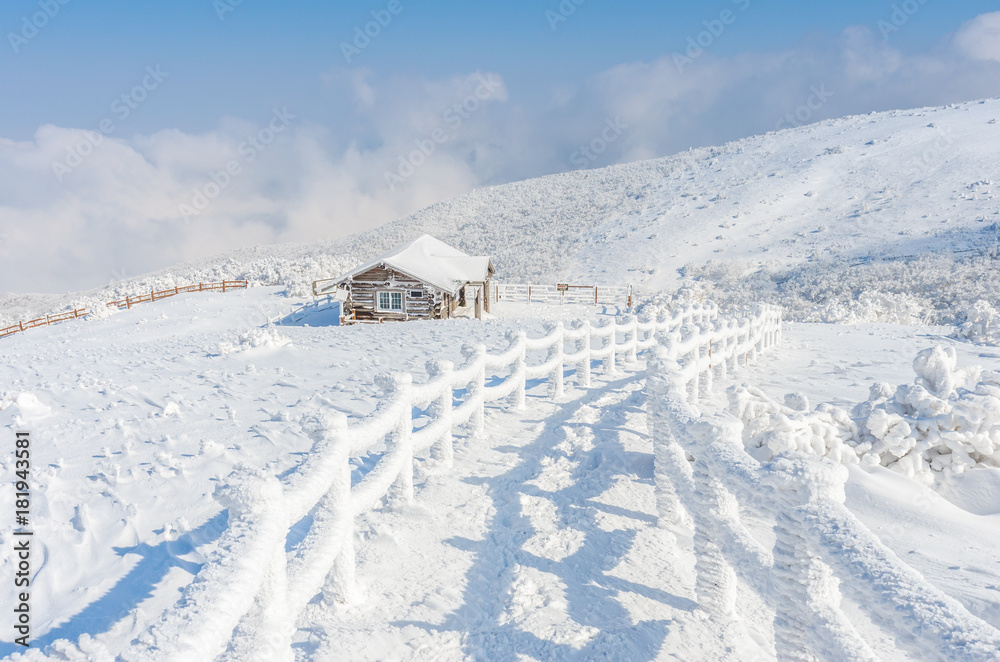 winter landscape in the mountains with falling snow in Seoul,South Korea. winter landscape in the mountains with falling snow in Seoul,South Korea.