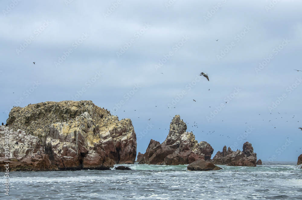 Paracas National Park in Peru